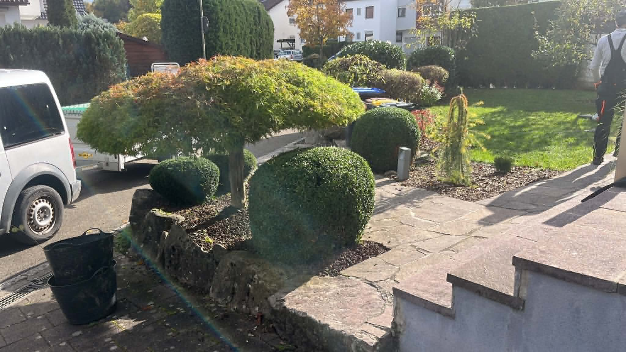Gepflegte Formgehölze und Gartenwege