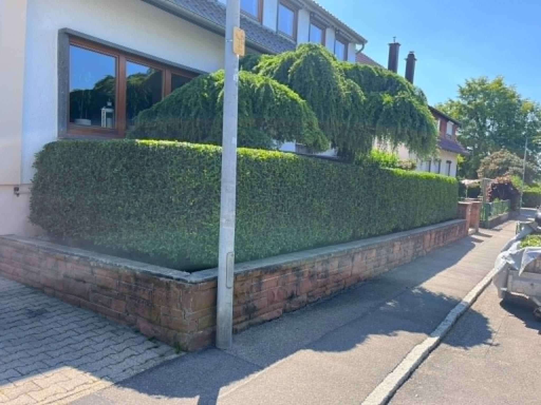 Sorgfältig geschnittene Hecke und gepflegter Garten